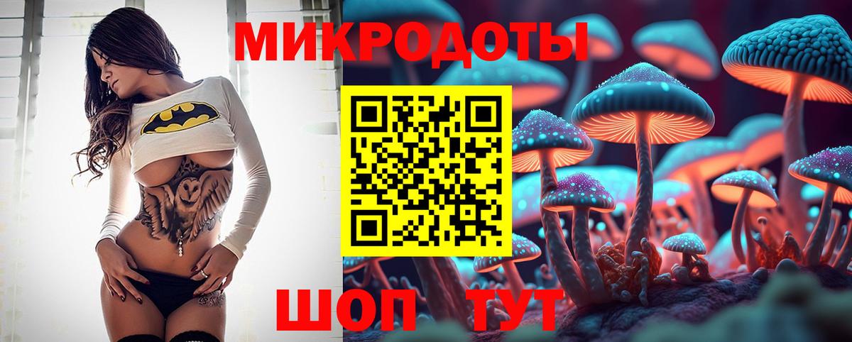 Псилоцибиновые грибы мицелий  Вход с VPN  Россия 